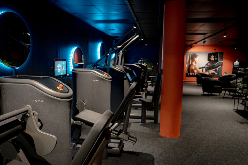 egym13